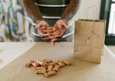 Las mejores tiendas para comprar alimento para mascotas a domicilio desde República Dominicana