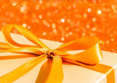 Aprovecha la Gracia Navideña 2024 en la República Dominicana