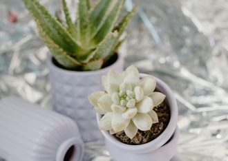 Jarrones y macetas decorativas mas increíbles que debes comprar en Shein