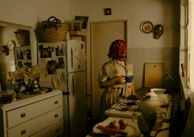 Hornos eléctricos con función de convección: las mejores opciones y cómo recibirlas en República Dominicana con Aeropaq